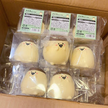 Load image into Gallery viewer, Pudding San Squishy
