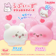 Load image into Gallery viewer, IBloom Loveies Squishy Mascot
