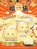 Lisa Lucky Bag Squishy