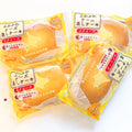 Hokkaido Cheesecake Squishy