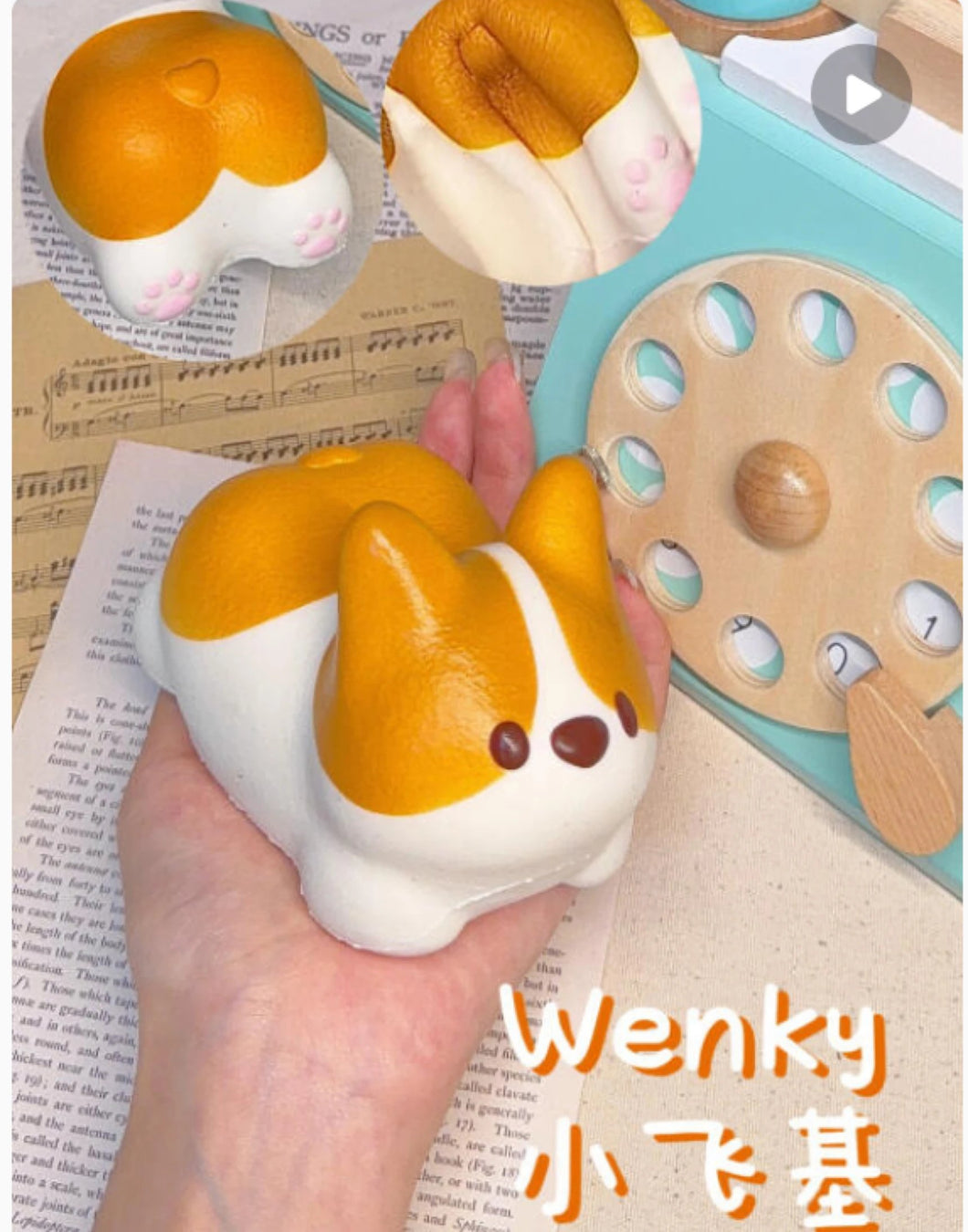 Corgi Baby Squishy