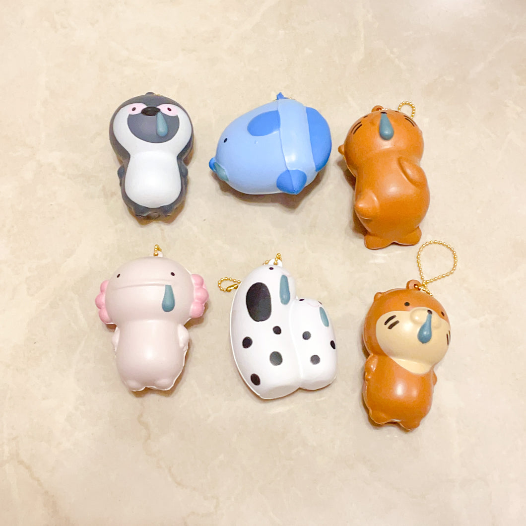 (Full set) Aquarium sea animals