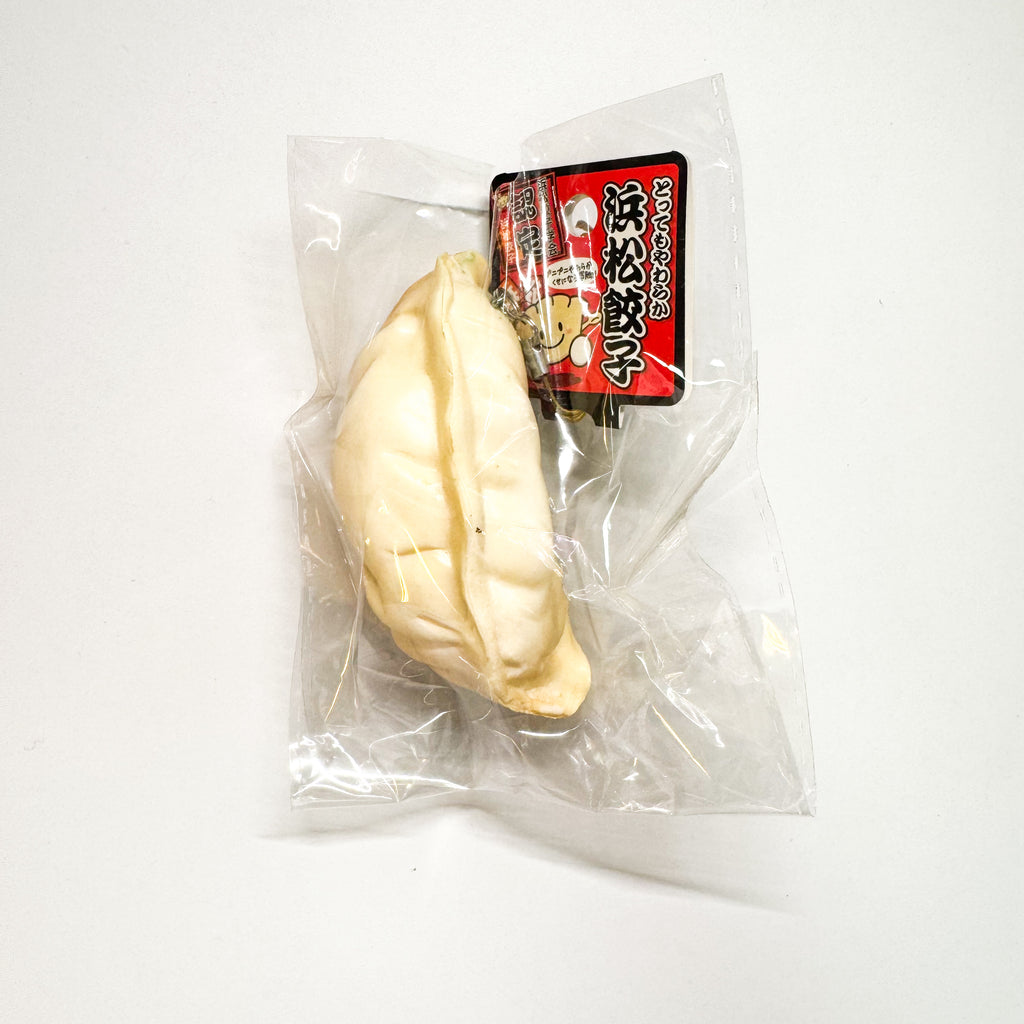 Japanese Dumpling Squishy