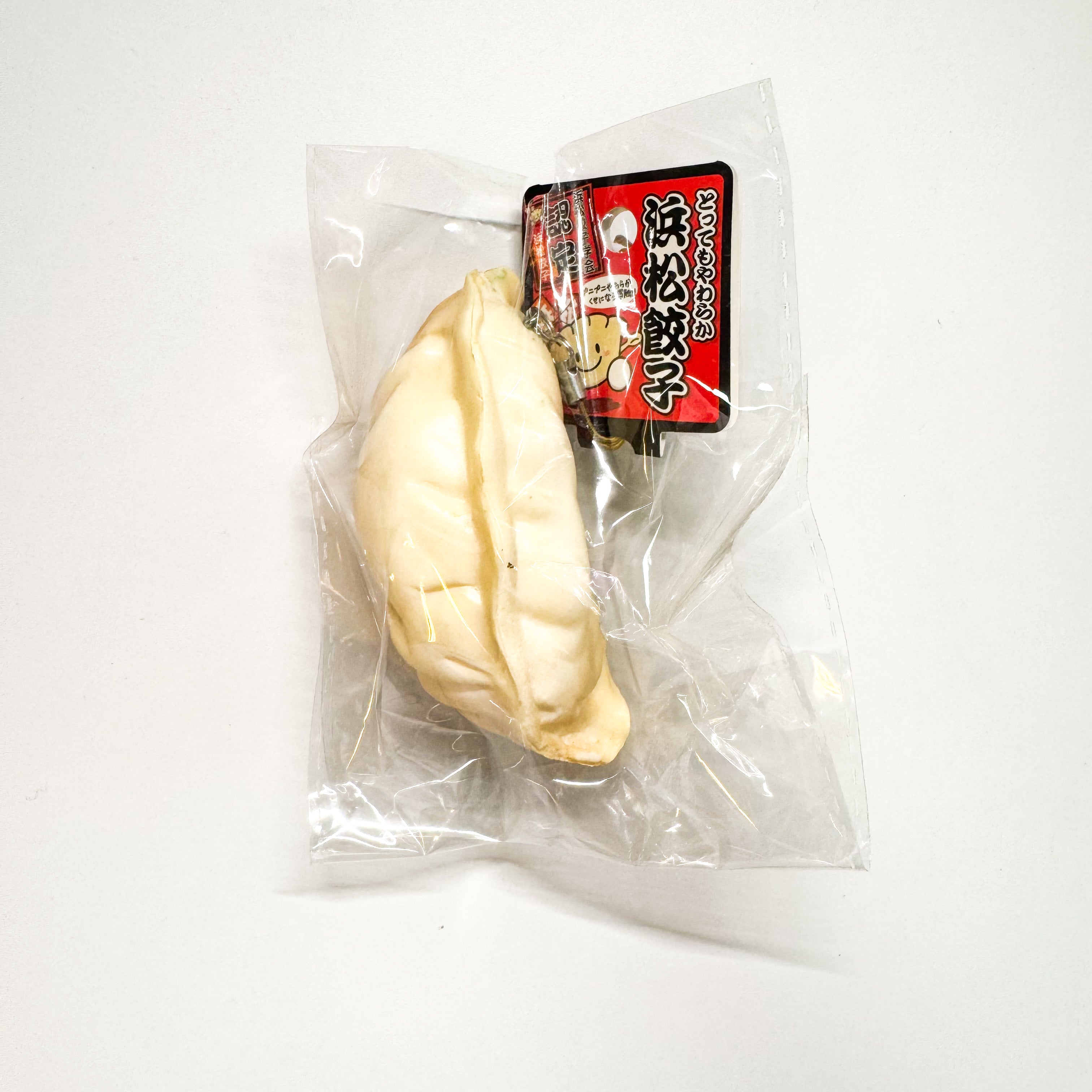 Japanese Dumpling Squishy
