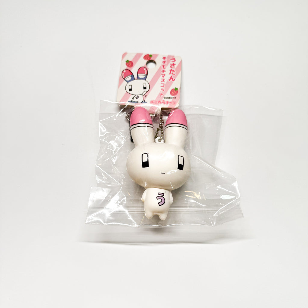 Rare Japan Rabbit Squishy