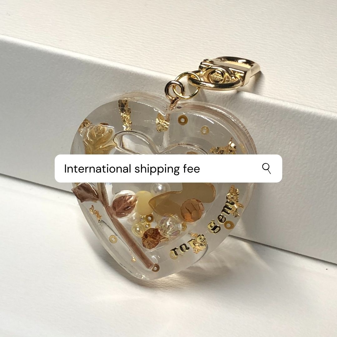 international shipping fee