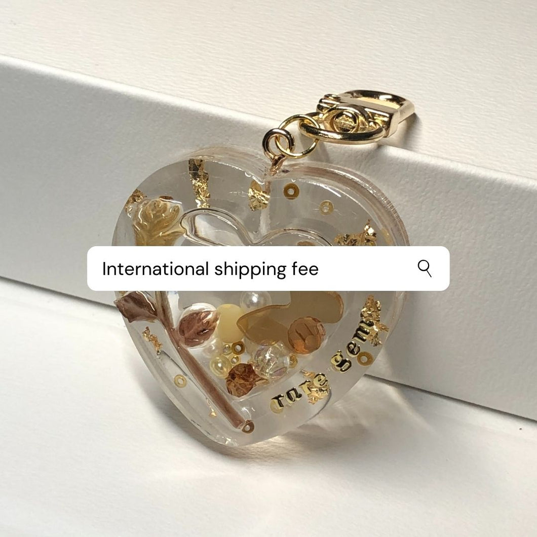 international shipping fee
