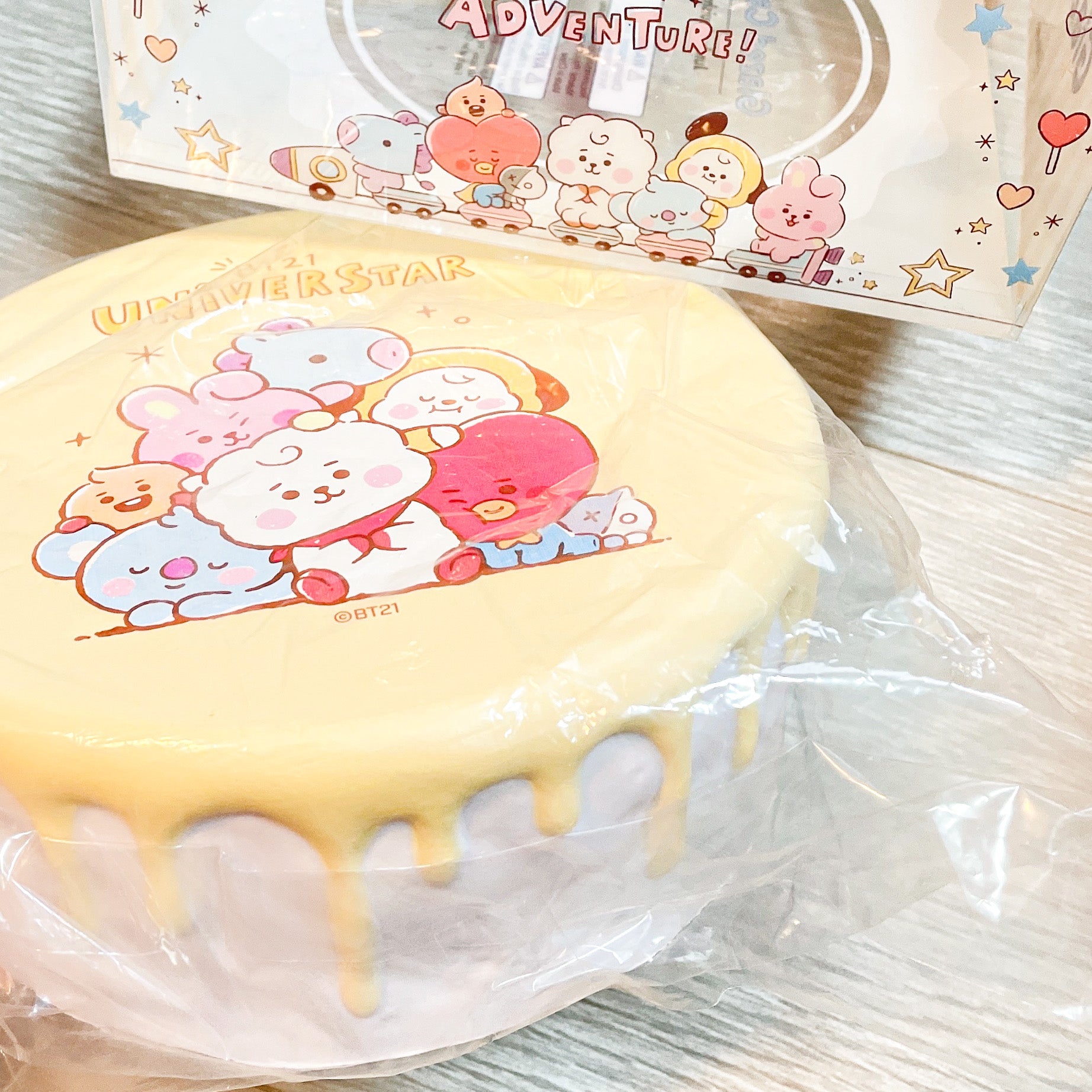 BT21 honey cake squishy